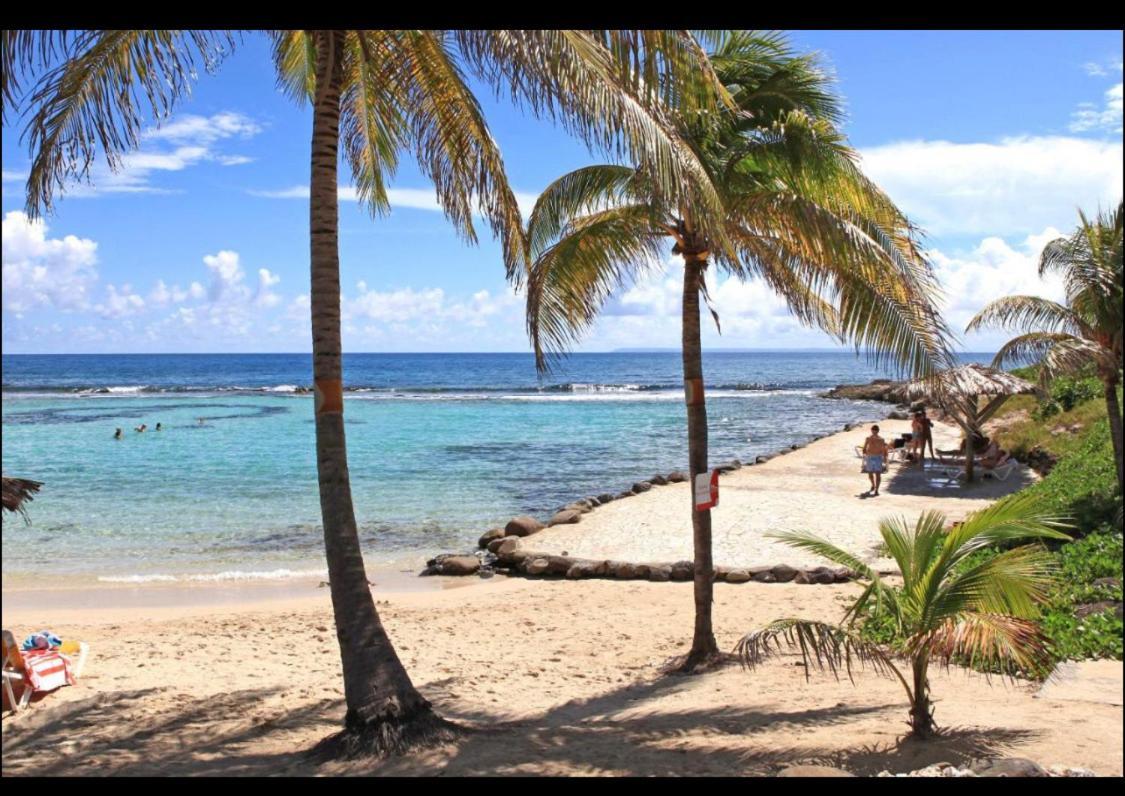 Gwada Cocoon & Blue Lagoon, 2 Studios Cote A Cote Au Manganao A St Francois & Choisissez Le Plus Adapte Saint-Francois  Bagian luar foto